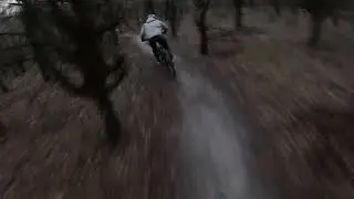 Friston Forest MTB #mtb #bike