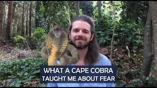 Dissolving Fear