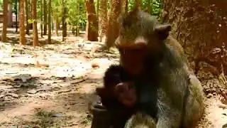 oh mygod !!! Baby angry mum until convulsive, April can't control baby cry loudly, Baby want milk
