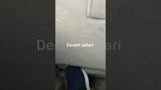 well come to Dubai.desart safari