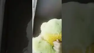 part 4 of the wither storm frog