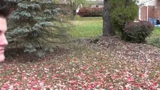 Creative Bloopers