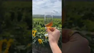 Best Day Trip From Porto: Duoro Wine Tour! #porto