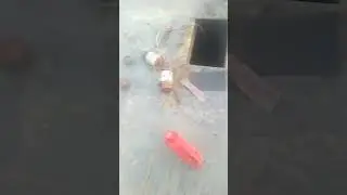 service of Weighbridge scale load cell