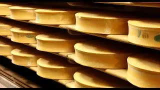 La coopérative laitière de Moûtiers