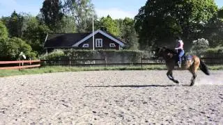 Nordsvensk