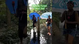 World's most naive monkeys@ Monkey Forest Ubud Bali