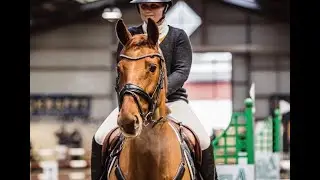 Ridestævne med KATNISS og 4. ridetur på NESTOR