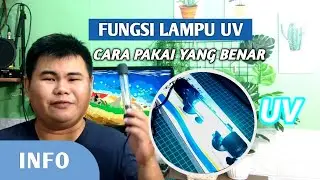 Fungsi Lampu UV untuk Ikan dan Cara Menggunakannya #dediscape