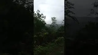 Driving in Jamaica 🇯🇲  #jamaica #nature #naturelovers #countrydrive #caribbean #Jamaican #driving