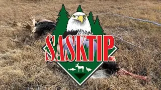 SaskTIP Crime of the Month - December 2021
