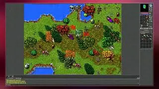 Tibia (Video Game)