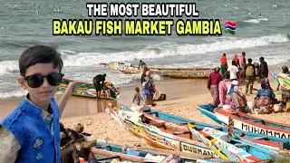Visiting The Most Natural And Beautiful Bakau Fish Market in the Gambia | Fresh Fish | Hindi , Urdu