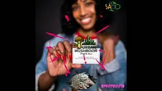 Introduction to Mushroom Sterilization and Hygiene #ytshorts #mushroom #sterilisation #fact #garden