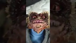 my brain gremlin