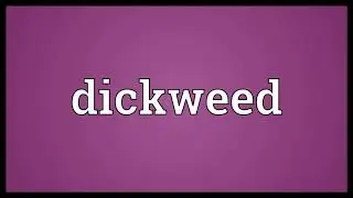 Dickweed Meaning