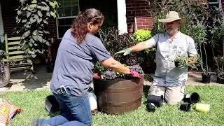 DIY Whiskey Barrel Planter Ideas For Fall Flower Display  