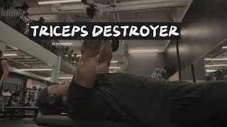 VIDEO 14 - TRICEPS - GIVE THIS WORKOUT A TRY!