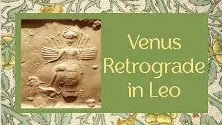 Venus Retrograde in Leo