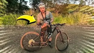 TREINANDO COM JABUTI E VACAS