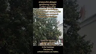 Save Trees....