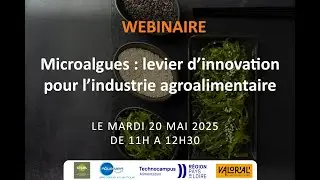 Webinaire - Microalgues : levier d'innovation pour l'industrie agroalimentaire