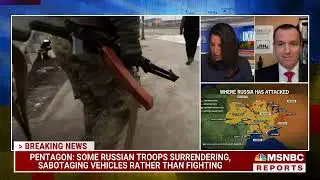 MSNBC Yasmin Vossoughian Reports - 3.5.22