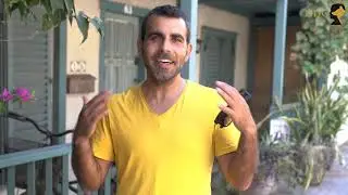 גולדן רטריבר / לברדור רטריבר | אילוף לברדור | אילוף גור גולדן מה נכון | טל שלוש מאלף כלבים מומחה