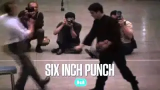 Bruce Lee Strength   One and six inch punch.......Asfak 3D