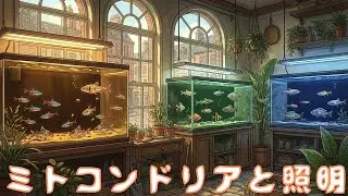 暗い照明(後編)。園芸照明の波長を水貼りバックスクリーンで補助する仕組みを解説します。LED街中街灯化の健康被害とミトコンドリア活用法、餌の反射と吐き出し率【ふぶきテトラ】