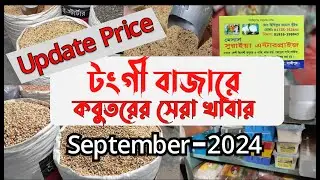 টংগী বাজার কবুতরের হাটে সেরা দামে কবুতরের খাবারের কিনুন  ২০২৪ সেপ্টেম্বর | Pigeons Food Market Tongi