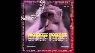 Spotify Meme Song x Froyonion Effect