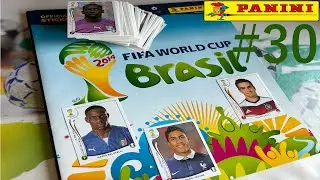 PANINI FIFA World Cup Brasil 2014 Sticker #30