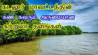 💥👉😱நீங்கள் கடலூர் பிச்சா வரத்துக்கு போனீங்கன்னா இந்த இடத்தை மறந்துடாதீங்க💢🔥