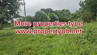 5 has clean title Ubay Bohol Philippines 250 pesos per sqm negotiable