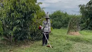 Cleaning the Farm Garden with a Grass Cutter