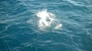 VID00050.MP4