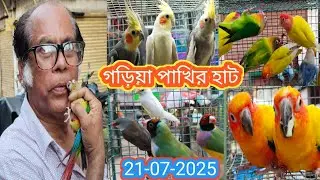 গড়িয়া পাখির হাটে আজকে খুব সুন্দর পাখি। Garia Bird Market. গড়িয়া পাখির হাট। Garia Pakhi Haat.