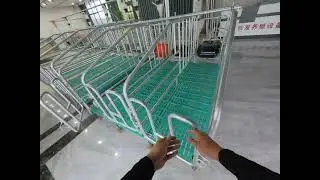 Pregnancy cage for sows