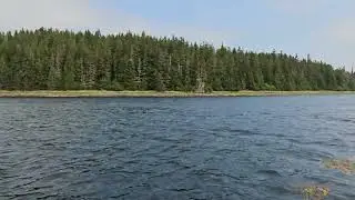 Boat Ride up Mitchell Bay, Alaska