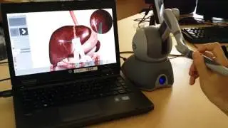 Laparoscopic surgery simulation with haptic feedback