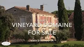 Excellent Vineyard Estate for sale with four houses on right Bank Rhone.