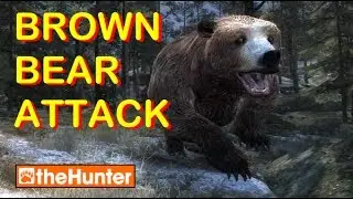 Brown Bear Attack and New Hurt Screen - theHunter Classic