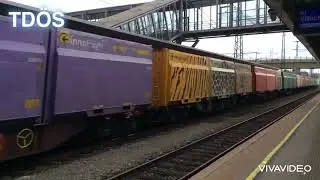 1144 & 1142 mit Innofreight-Wagen durchf&auml;hrt den Bahnhof Wiener Neustadt