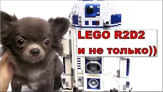 Лего Звёздные войны Дроид R2D2 (10225) и моя собака Обзор Lego Star Wars