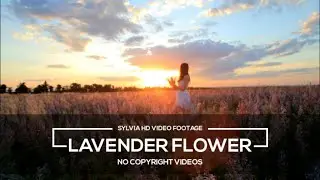 Beautiful Girl and Lavender Flower | HD Stock Videos | Free Stock Footage | No Copyright Videos