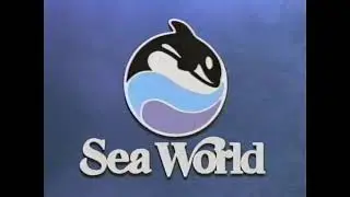 Opening to Magic in the Water (1995, VHS) (Canadian Version)
