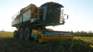 2x PMC 1089 | Raccolta fagioli 2024 | BEANS HARVEST 2024