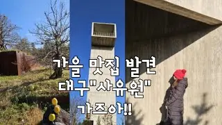 (사유원Vlog)당신이 모르는/대구 사유원 가을대폭발🍁독특한 건축물과 자연의 만남🍁 힐링 여행 브이로그