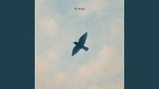 Bleed